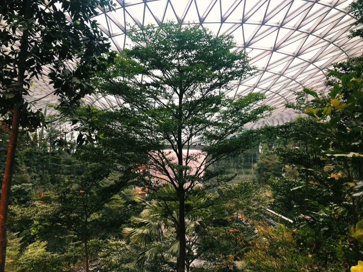 Yotelair Singapore Changi Airport Landside Екстериор снимка